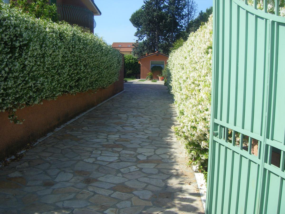 מרינה די קררה Giusy Bed And Breakfast מראה חיצוני תמונה