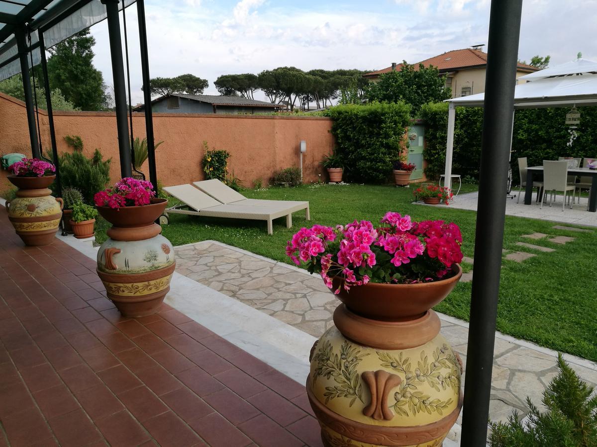 מרינה די קררה Giusy Bed And Breakfast מראה חיצוני תמונה
