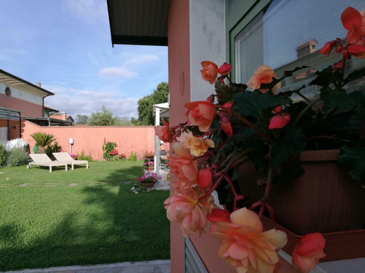מרינה די קררה Giusy Bed And Breakfast מראה חיצוני תמונה